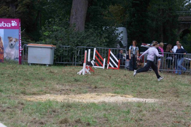 foire-haricots 2011-09-17et18